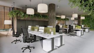 Entrada bureau