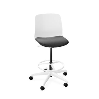 Coccinelle hoog