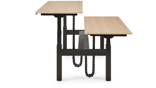 S-Line Bench