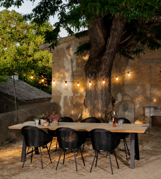 Edgard dining chair