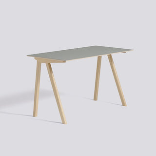 CPH 90 Desk