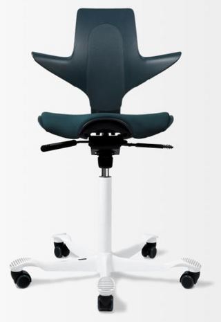 Capisco Puls 8020 SPECIAL